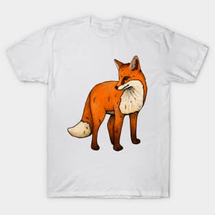 fox animal illustration, fox family, wildlife, safari, T-Shirt